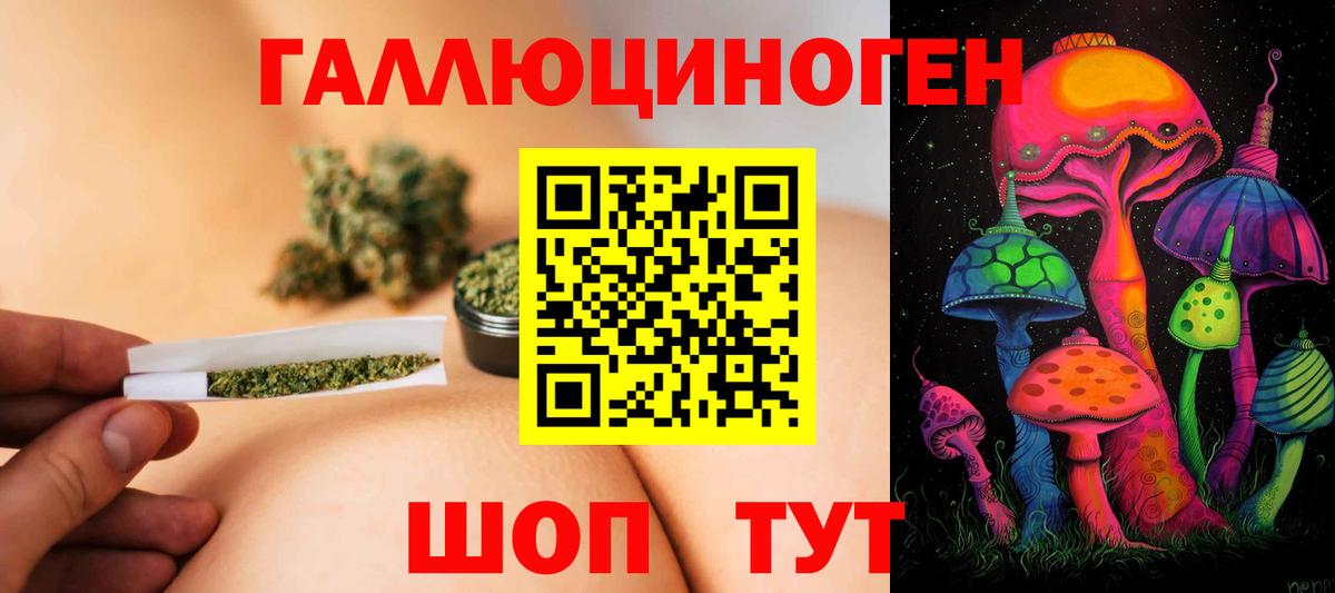 Псилоцибиновые грибы GOLDEN TEACHER Вышний Волочёк